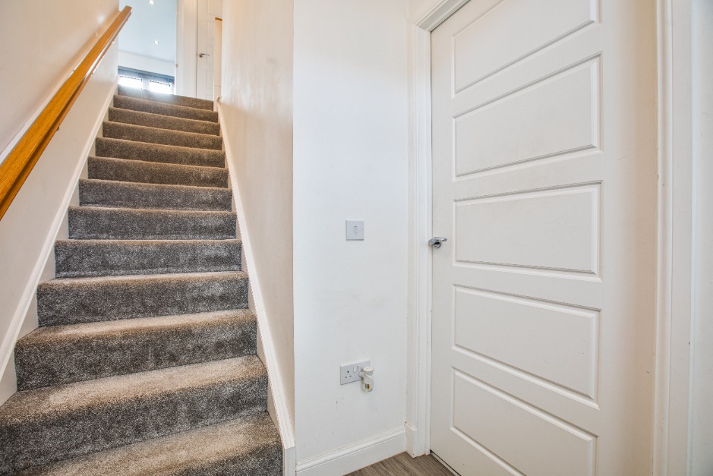 Image of Foxglove Grove