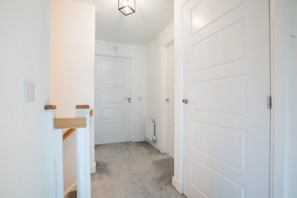 Image of Foxglove Grove