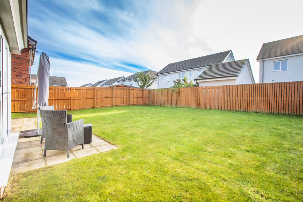 Image of Foxglove Grove